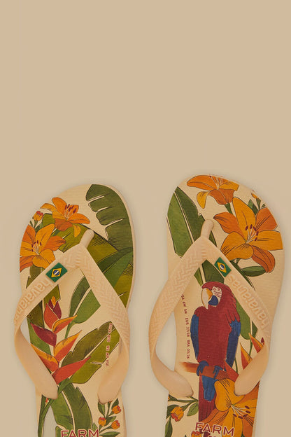 Farm Ararinhas Havaiana Sandals