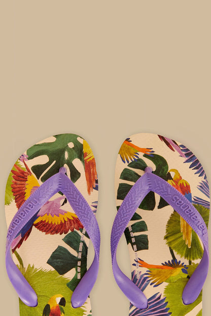 Farm Passaros Pintados Havaiana Sandals