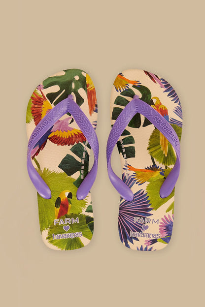 Farm Passaros Pintados Havaiana Sandals